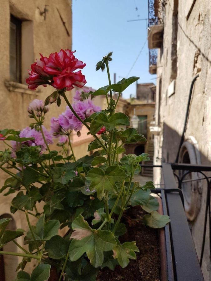 Casa Vacanze Da Mammanonna Taurasi Екстериор снимка